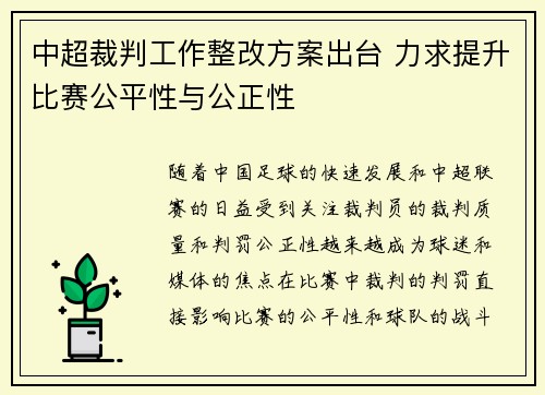 中超裁判工作整改方案出台 力求提升比赛公平性与公正性