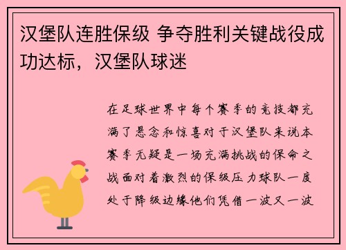 汉堡队连胜保级 争夺胜利关键战役成功达标，汉堡队球迷